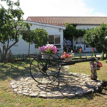 El Condado Casa Rural Fuentes de Onoro Zewnętrze zdjęcie