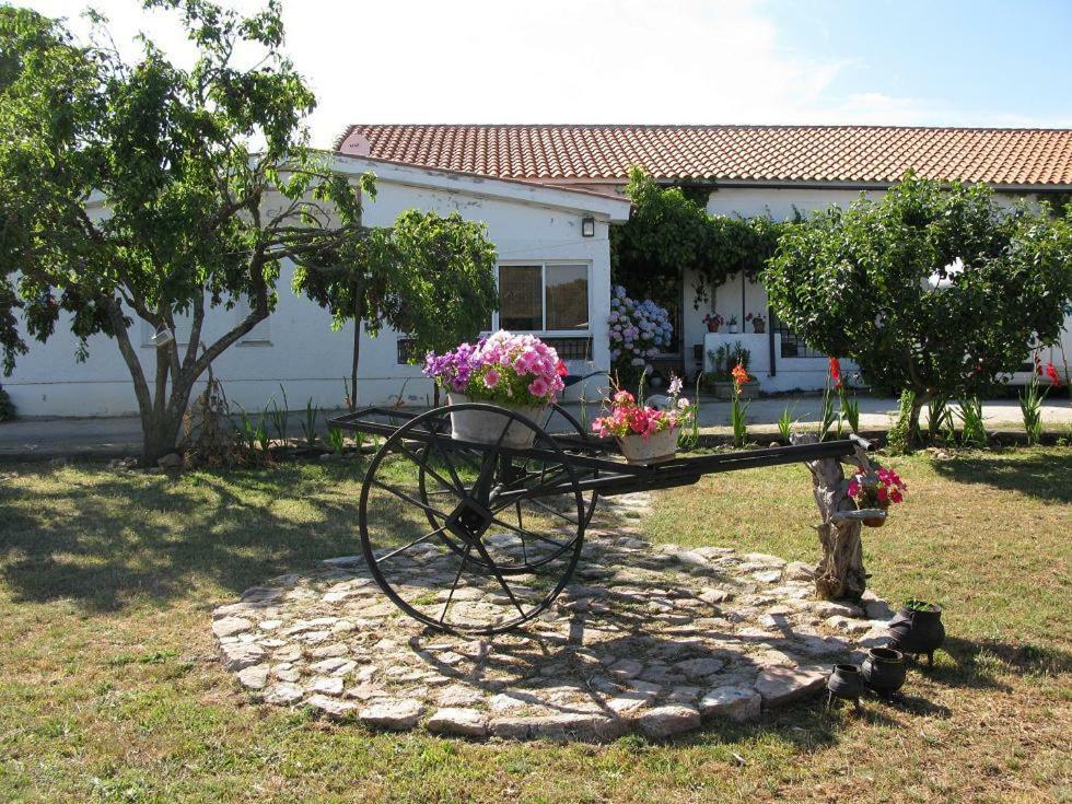 El Condado Casa Rural Fuentes de Onoro Zewnętrze zdjęcie